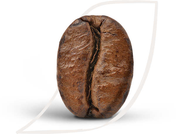 Learn about our coffee culture