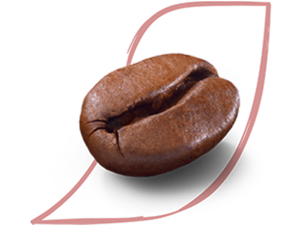 CoffeeFacts