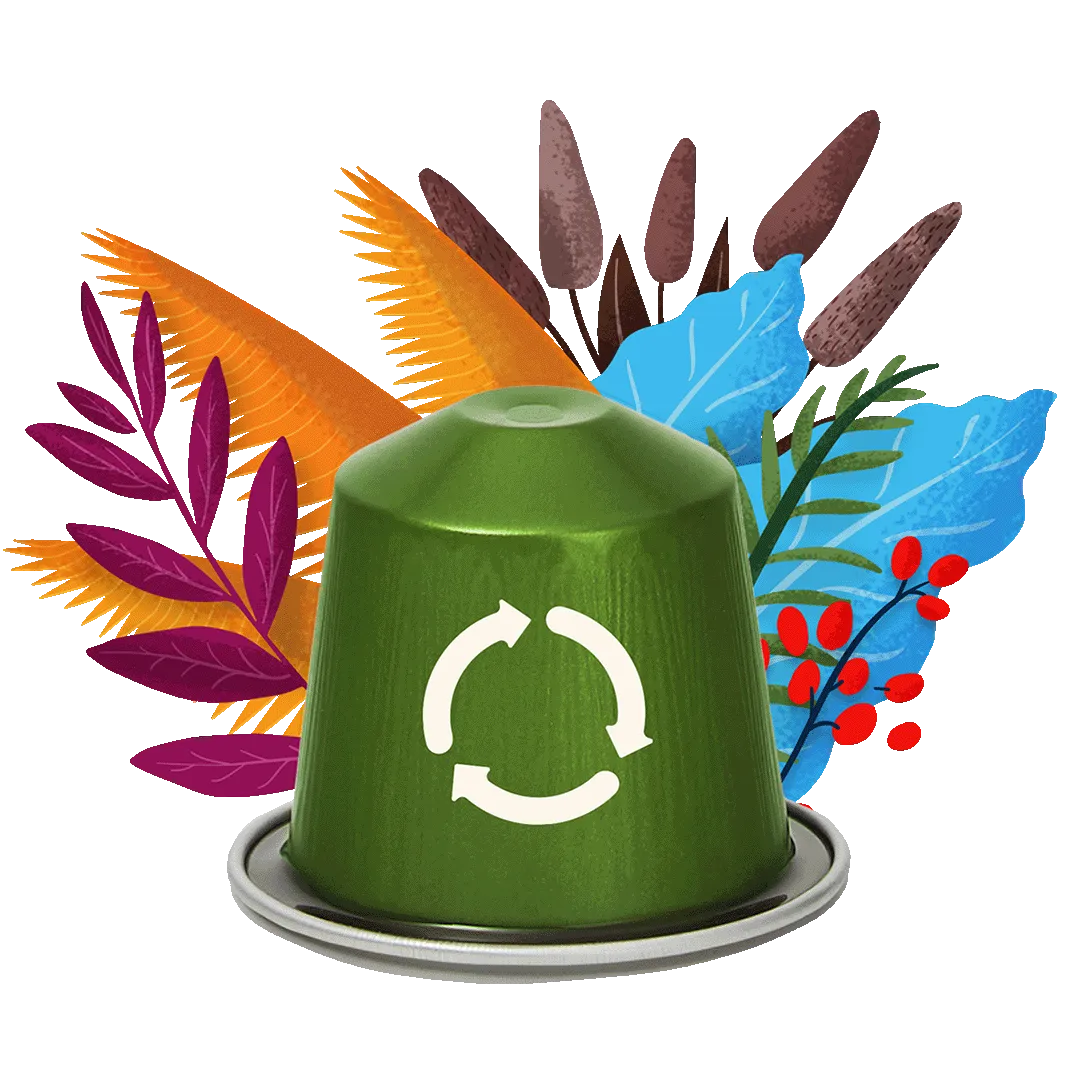capsules recyclables de Nescafé Farmers Origins
